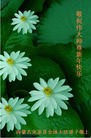 Published on 1/24/2012 ֹ,½󷨵ӹףʦã163 - ִ
