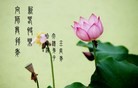 Published on 1/24/2012 ֹ,½󷨵ӹףʦã192 - ִ
