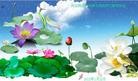 Published on 1/24/2012 ֹ,½󷨵ӹףʦã192 - ִ
