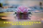 Published on 1/24/2012 ֹ,½󷨵ӹףʦ֣196 - ִ
