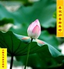 Published on 1/24/2012 ֹ,½󷨵ӹףʦã197 - ִ
