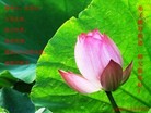 Published on 1/24/2012 ֹ,½󷨵ӹףʦã99 - ִ
