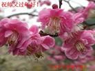 Published on 1/24/2012 ֹ,½󷨵ӹףʦã99 - ִ
