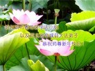Published on 1/24/2012 ֹ,½󷨵ӹףʦ֣196 - ִ
