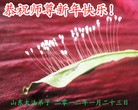 Published on 1/24/2012 ֹ,½󷨵ӹףʦ֣196 - ִ
