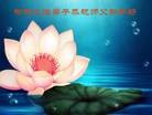 Published on 1/24/2012 ֹ,½󷨵ӹףʦã163 - ִ
