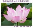 Published on 1/24/2012 ֹ,½󷨵ӹףʦã163 - ִ
