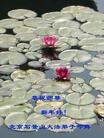 Published on 1/24/2012 ֹ,½󷨵ӹףʦã99 - ִ
