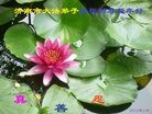 Published on 1/24/2012 ֹ,½󷨵ӹףʦã176 - ִ
