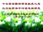 ֹ,½󷨵ӹףʦԪ֣85
