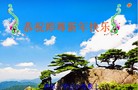 法轮功,大陆大法弟子恭祝师尊元旦快乐（85条）
