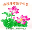 法轮功,大陆大法弟子恭祝师尊元旦快乐（85条）
