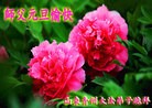 ֹ,󷨵ӹףʦԪ֣164
