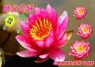 ֹ,󷨵ӹףʦԪ֣164
