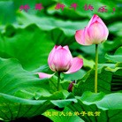 ֹ,󷨵ӹףʦ֣138
