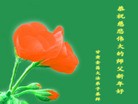ֹ,󷨵ӹףʦԪ֣110

