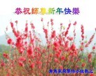 ֹ,󷨵ӹףʦԪ֣164
