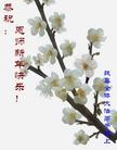 ֹ,󷨵ӹףʦԪ֣191
