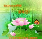 法轮功,西南地区大法弟子恭祝师尊元旦快乐（188条）
