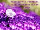 Published on 1/1/2013 ֹ,½󷨵ӹףʦԪ֣99
