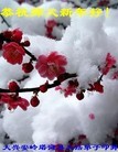 Published on 1/1/2013 ֹ,½󷨵ӹףʦԪ֣99
