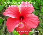 ֹ,󷨵ӹףʦԪ֣191
