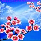 Published on 1/1/2013 ֹ,½󷨵ӹףʦԪ֣113
