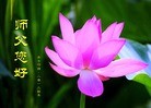 Published on 1/1/2013 ֹ,½󷨵ӹףʦԪ֣113
