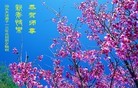 ֹ,ϵ󷨵ӹףʦԪ֣156
