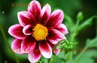 Published on 1/1/2013 ֹ,½󷨵ӹףʦԪ֣129
