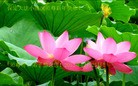 Published on 1/1/2013 ֹ,½󷨵ӹףʦԪ֣129
