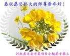 Published on 1/1/2013 ֹ,½󷨵ӹףʦԪ֣126
