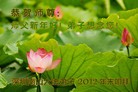 法轮功,华南地区大法弟子恭祝师尊元旦快乐（156条）
