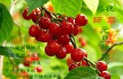 Published on 1/1/2013 ֹ,½󷨵ӹףʦԪ֣126
