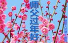 Published on 1/1/2013 ֹ,½󷨵ӹףʦԪ֣126
