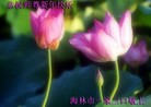 Published on 1/1/2013 ֹ,½󷨵ӹףʦԪ֣99
