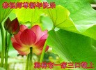 Published on 1/1/2013 ֹ,½󷨵ӹףʦԪ֣99
