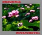 Published on 1/1/2013 ֹ,½󷨵ӹףʦԪ֣99
