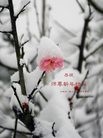 Published on 1/1/2013 ֹ,½󷨵ӹףʦԪ֣163
