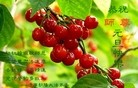 Published on 1/1/2013 ֹ,½󷨵ӹףʦԪ֣126
