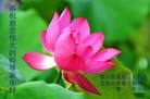 Published on 1/1/2013 ֹ,½󷨵ӹףʦԪ֣126
