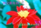 Published on 1/1/2013 ֹ,½󷨵ӹףʦԪ֣126
