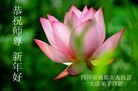 Published on 1/1/2013 ֹ,½󷨵ӹףʦԪ֣126
