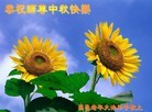 ֹ,󷨵ӹףʦã154
