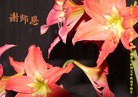 ֹ,ϵ󷨵ӹףʦã148
