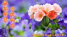 Published on 9/30/2012 ֹ,й½ҵ󷨵ӹףʦ
