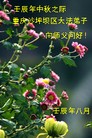 ֹ,ϵ󷨵ӹףʦã182
