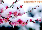 ֹ,󷨵ӹףʦã154
