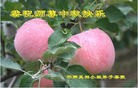 ֹ,󷨵ӹףʦã155
