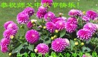 Published on 9/30/2012 ֹ,ϵͳ󷨵ӹףʦ
